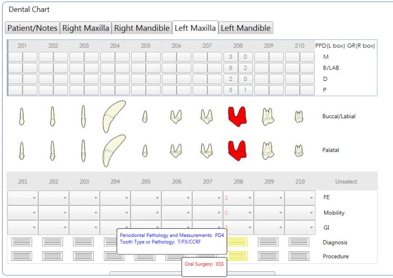 Dental Chart Quadrant Tab Animal Dental Chart
